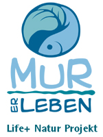 Murerleben - Lifeplus Natur Projekt