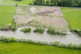 Übersicht des reaktivierten Nebenarms (Mai 2006)
