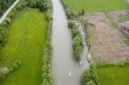 Übersicht des reaktivierten Nebenarms (Mai 2006)