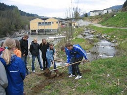 Entlang des naturnahen Tümpelpasses wurden Bäume gepflanzt.