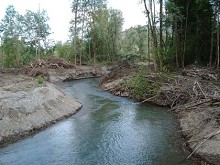 Einwandfreie Funktion des Nebenarms (Juni 2005)