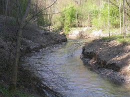 Reaktivierter Altarm (April 2007)