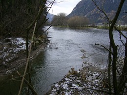 Reaktivierter Altarm (November 2006)