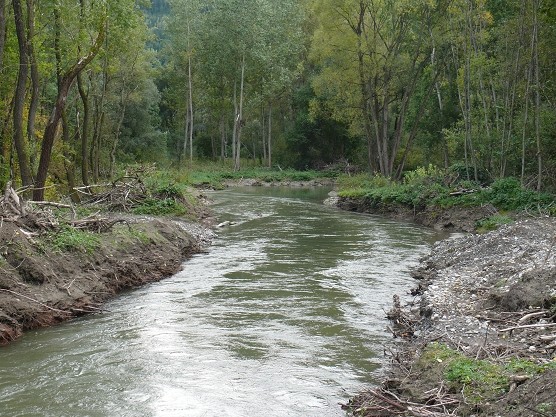 stpeterer2