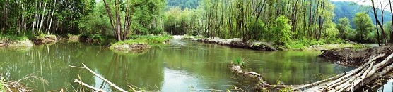 stpeterer4