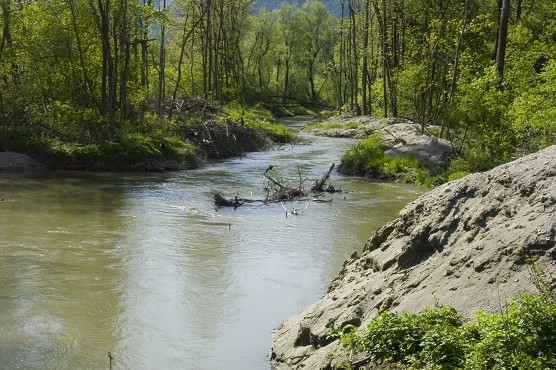 thalheim2