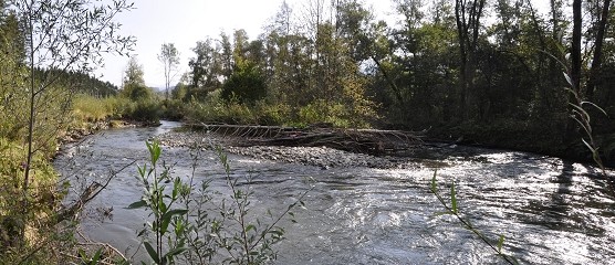 Weyern3