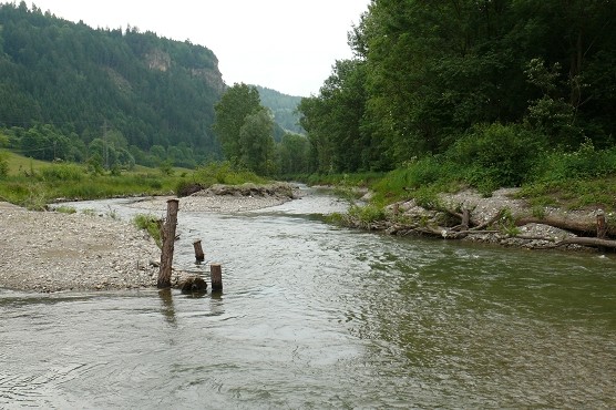 Weyrach1