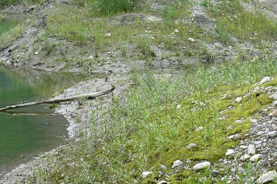 Weyrach3