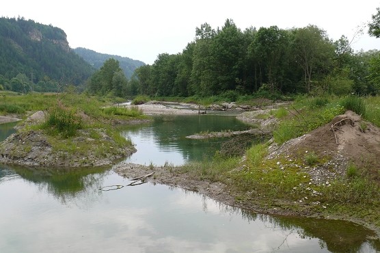 Weyrach4