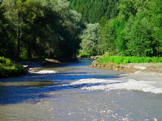 Hochwasser 8/2012 - vorher