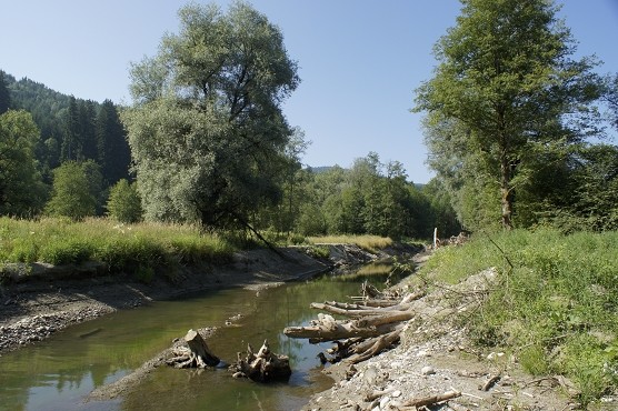 Lässer Au - Bauzeit Juni 2013