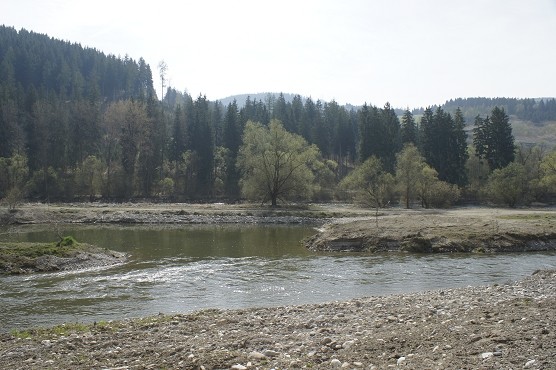 140403_Entwicklung_Rückstaubereich