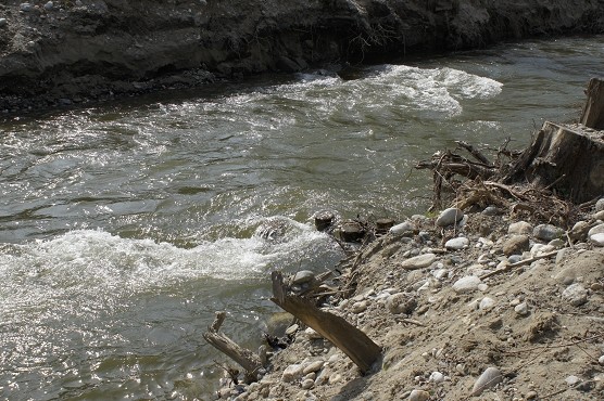 140403_Entwicklung_Struktur