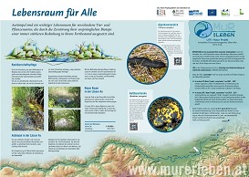 Schautafel2