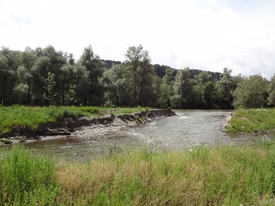 140625_Entwicklung3