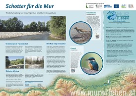 Schautafel 3 _Apfelberg