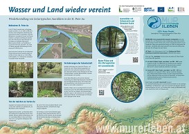 Schautafel4_StPeter