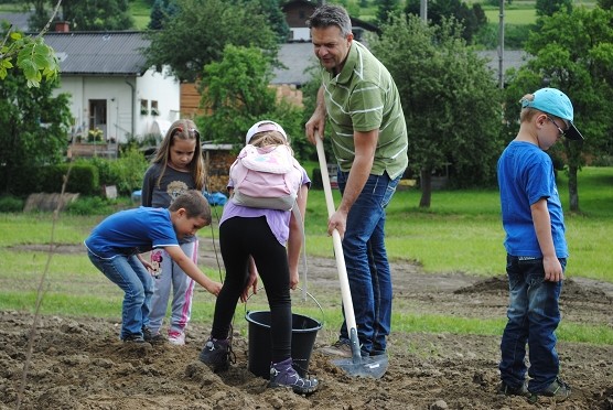 Bepflanzung_Thalheim_062015 072