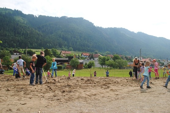 Bepflanzung_Thalheim_062015 078