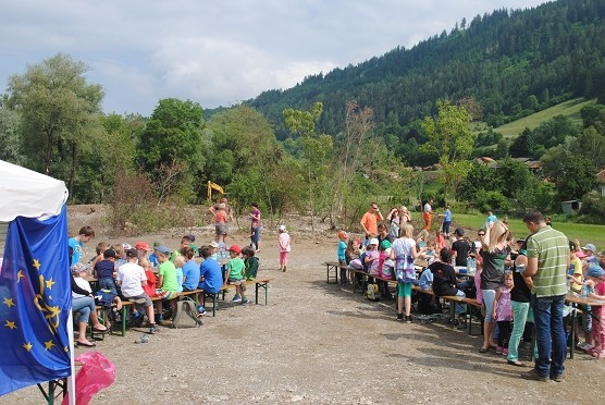 Bepflanzung_Thalheim_062015 093