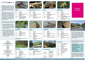 Folder 5_finaljpg_Page1